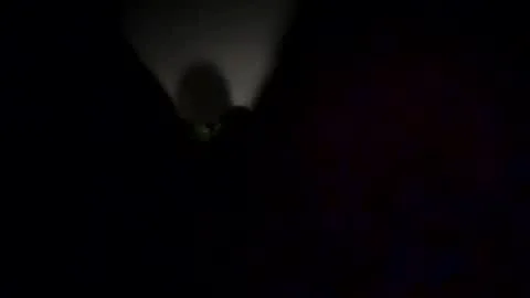 Photo of martindalien